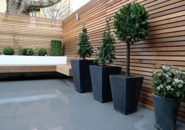 doniczki z roślinami